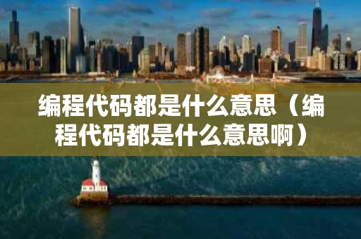 编程代码都是什么意思（编程代码都是什么意思啊）