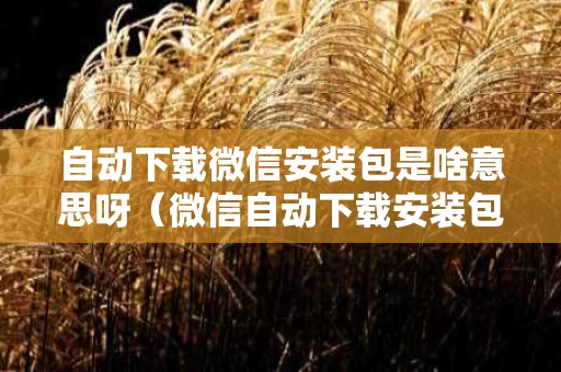 自动下载微信安装包是啥意思呀（微信自动下载安装包关闭后果是什么）
