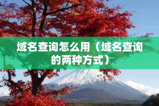 域名查询怎么用（域名查询的两种方式）