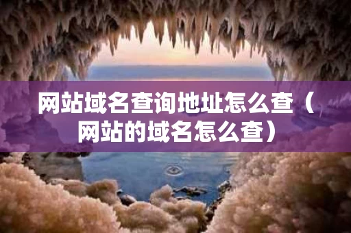 网站域名查询地址怎么查（网站的域名怎么查）
