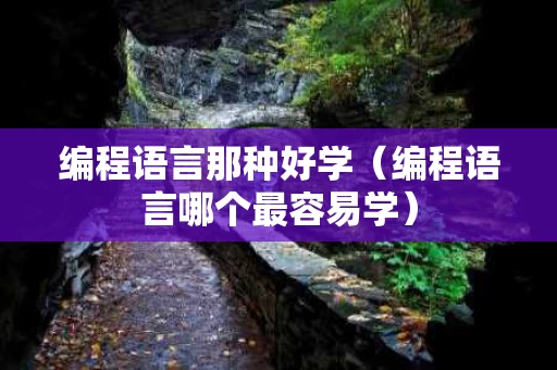 编程语言那种好学（编程语言哪个最容易学）