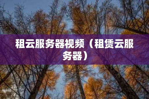 租云服务器视频（租赁云服务器）