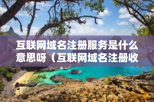 互联网域名注册服务是什么意思呀（互联网域名注册收费标准）