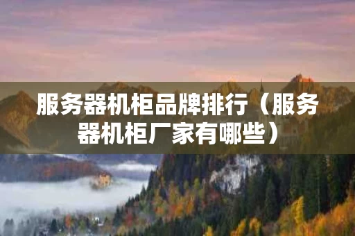 服务器机柜品牌排行（服务器机柜厂家有哪些）