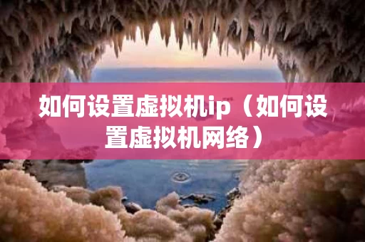 如何设置虚拟机ip（如何设置虚拟机网络）