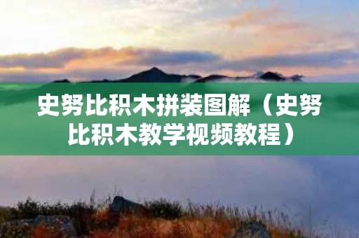 史努比积木拼装图解（史努比积木教学视频教程）