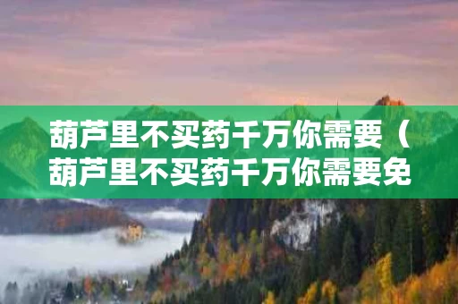 葫芦里不买药千万你需要（葫芦里不买药千万你需要免费）