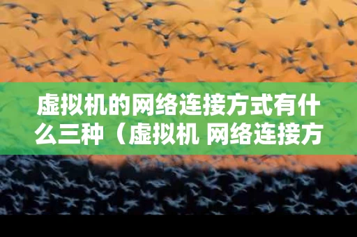 虚拟机的网络连接方式有什么三种（虚拟机 网络连接方式）