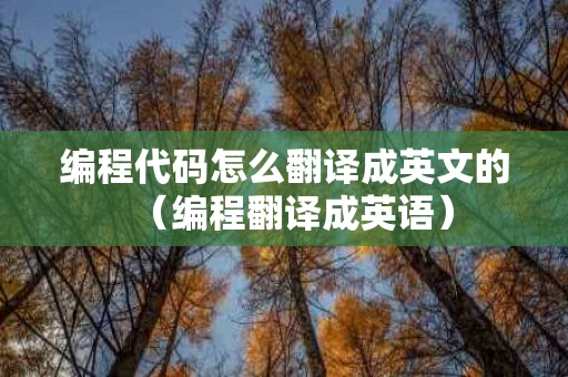 编程代码怎么翻译成英文的（编程翻译成英语）