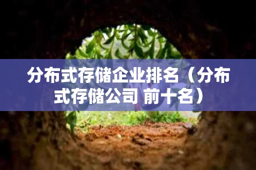 分布式存储企业排名（分布式存储公司 前十名）