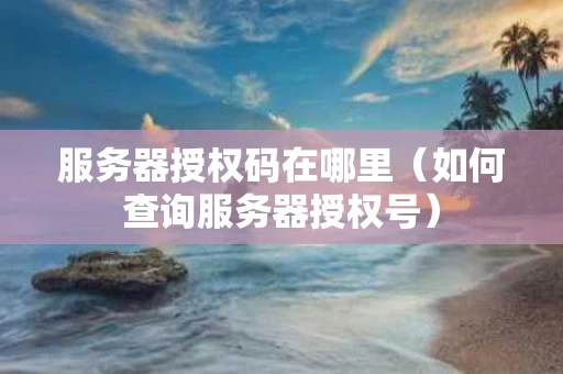 服务器授权码在哪里（如何查询服务器授权号）