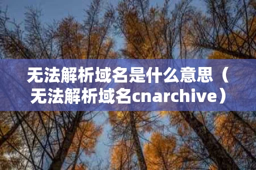 无法解析域名是什么意思（无法解析域名cnarchive）