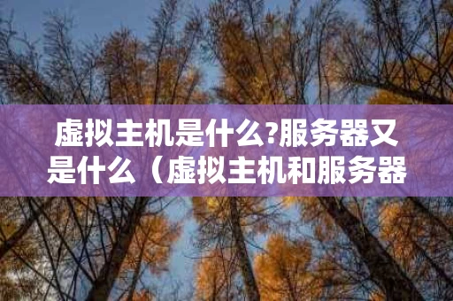 虚拟主机是什么?服务器又是什么（虚拟主机和服务器的区别是啥）