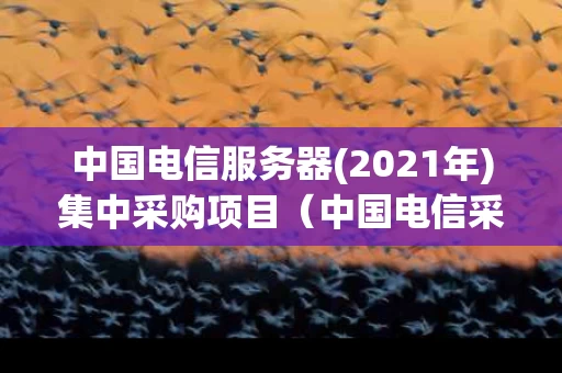 中国电信服务器(2021年)集中采购项目（中国电信采购服务平台）