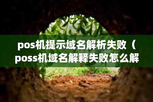 pos机提示域名解析失败（poss机域名解释失败怎么解决）