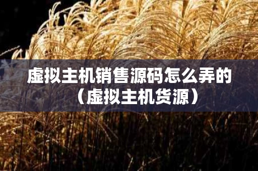 虚拟主机销售源码怎么弄的（虚拟主机货源）