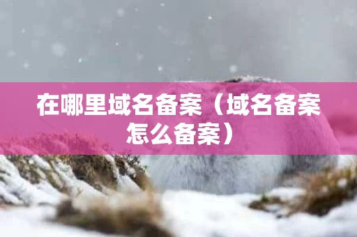 在哪里域名备案（域名备案怎么备案）