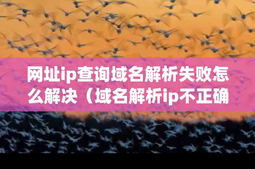 网址ip查询域名解析失败怎么解决（域名解析ip不正确）
