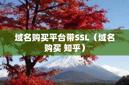 域名购买平台带SSL（域名购买 知乎）