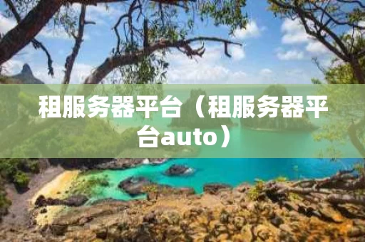 租服务器平台（租服务器平台auto）