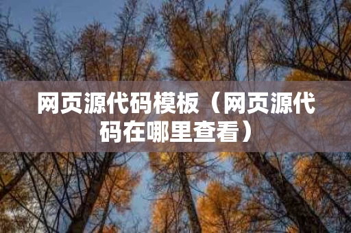 网页源代码模板（网页源代码在哪里查看）