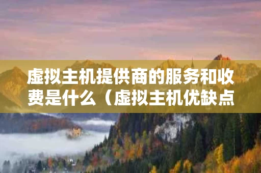 虚拟主机提供商的服务和收费是什么（虚拟主机优缺点）
