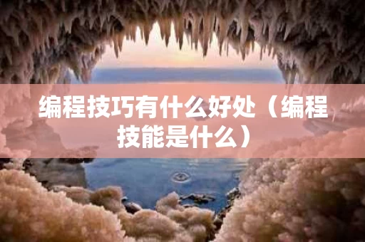 编程技巧有什么好处（编程技能是什么）
