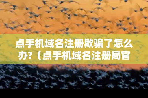 点手机域名注册欺骗了怎么办?（点手机域名注册局官网）