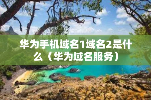华为手机域名1域名2是什么（华为域名服务）