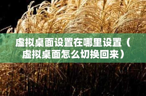 虚拟桌面设置在哪里设置（虚拟桌面怎么切换回来）