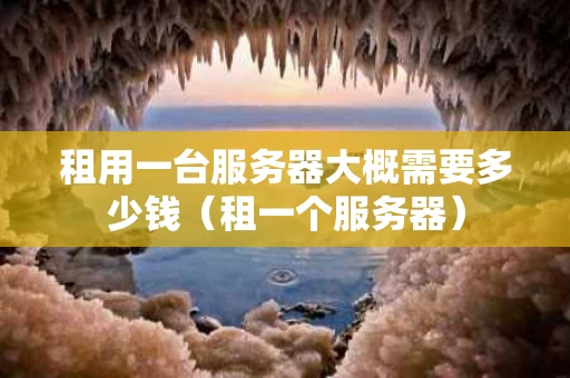 租用一台服务器大概需要多少钱（租一个服务器）