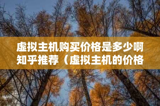 虚拟主机购买价格是多少啊知乎推荐（虚拟主机的价格）