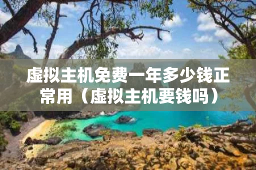 虚拟主机免费一年多少钱正常用（虚拟主机要钱吗）