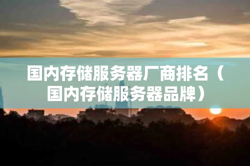 国内存储服务器厂商排名（国内存储服务器品牌）