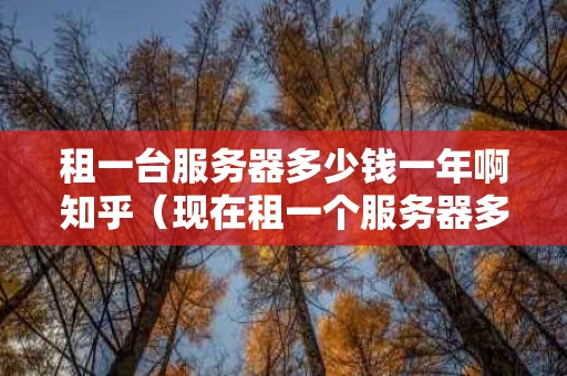 租一台服务器多少钱一年啊知乎（现在租一个服务器多少一个月）