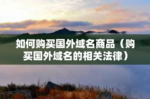 如何购买国外域名商品（购买国外域名的相关法律）
