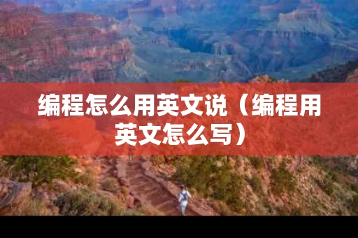 编程怎么用英文说（编程用英文怎么写）