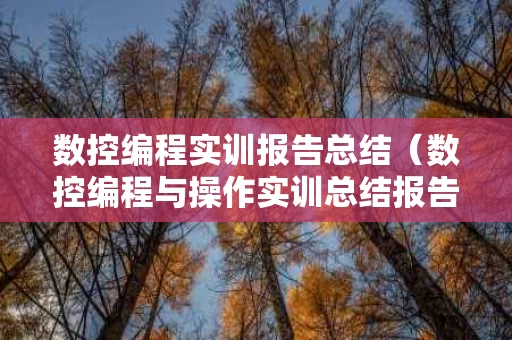 数控编程实训报告总结（数控编程与操作实训总结报告）