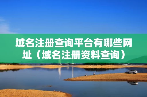 域名注册查询平台有哪些网址（域名注册资料查询）