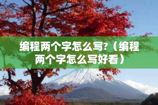 编程两个字怎么写?（编程两个字怎么写好看）