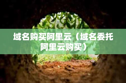 域名购买阿里云（域名委托阿里云购买）