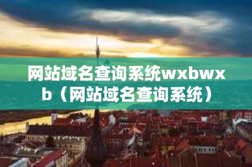 网站域名查询系统wxbwxb（网站域名查询系统）