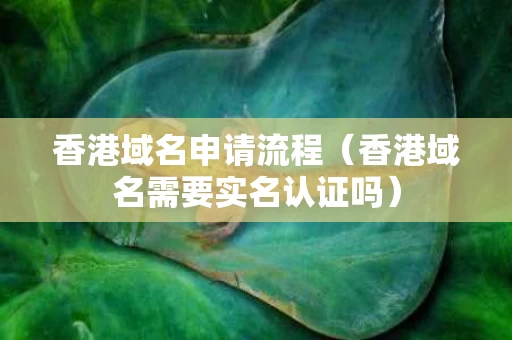 香港域名申请流程（香港域名需要实名认证吗）