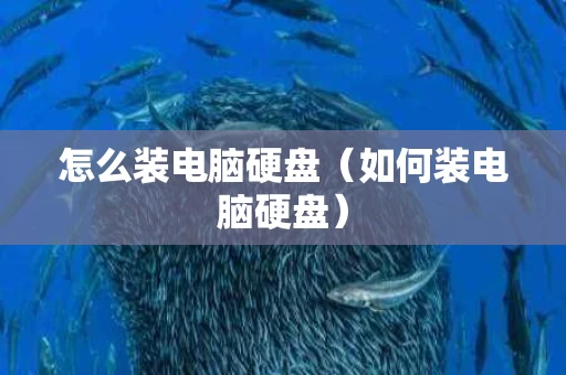 怎么装电脑硬盘（如何装电脑硬盘）