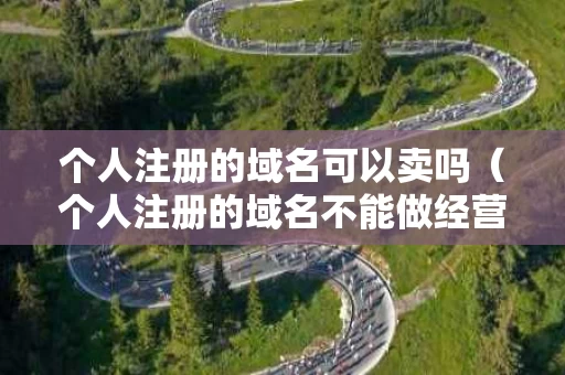 个人注册的域名可以卖吗（个人注册的域名不能做经营吗）