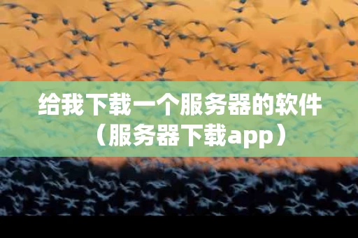 给我下载一个服务器的软件（服务器下载app）