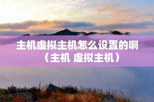 主机虚拟主机怎么设置的啊（主机 虚拟主机）