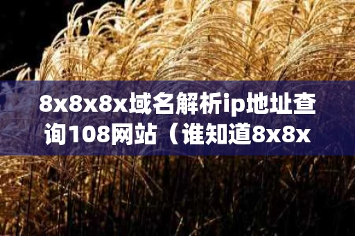 8x8x8x域名解析ip地址查询108网站（谁知道8x8x现在的域名）