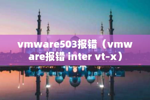vmware503报错（vmware报错 inter vt–x）