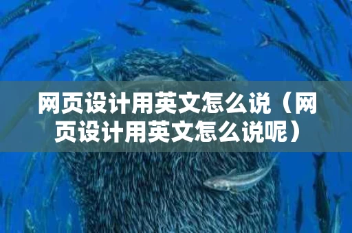 网页设计用英文怎么说（网页设计用英文怎么说呢）